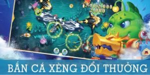 ban-ca-xeng-so-luoc-ve-game