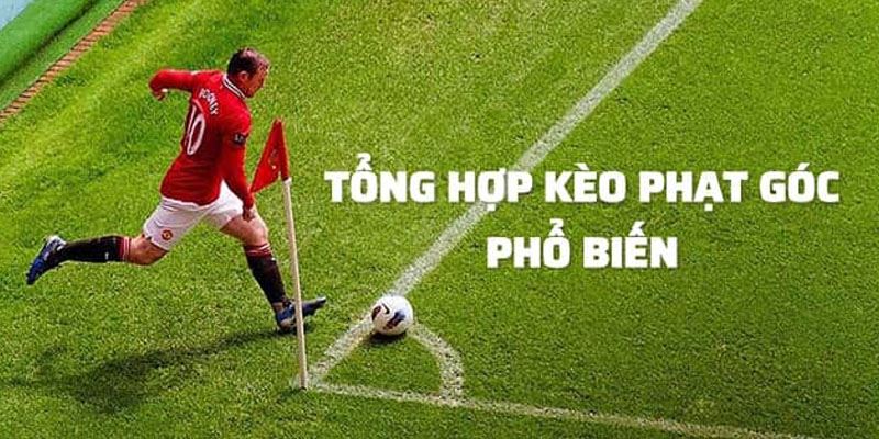 Những cách dự đoán kèo phạt góc cơ bản với người mới chơi