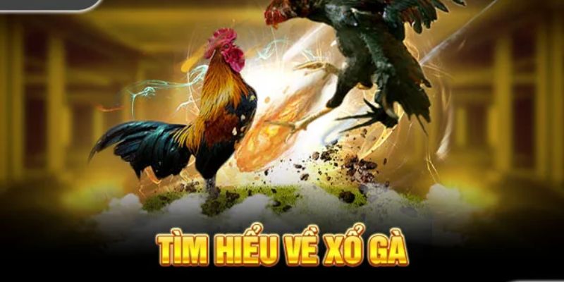 Xổ gà là một phương pháp giúp cho mọi người sở hữu thần kê